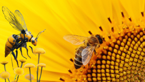 Leia mais sobre o artigo Otimizz.ai: Aumente sua Produtividade com Várias Ferramentas de IA no mesmo lugar